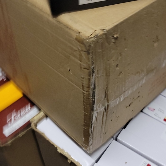 bootys - Picture 4 of 4